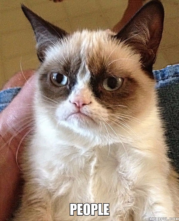 http://i.memeful.com/memes/w784NgM/Grumpy-Cat.jpg